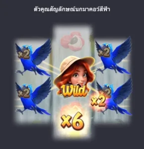 ตัวคูณ wings of iguazu